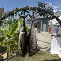 фото из отзыва ID 2735818