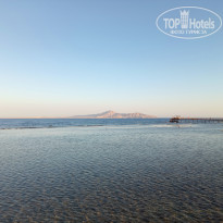 фото из отзыва ID 2735833