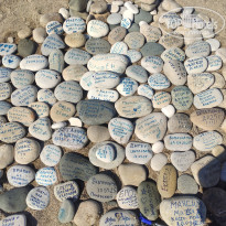 фото из отзыва ID 2735850