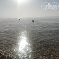 фото из отзыва ID 2735850