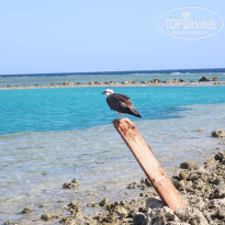 фото из отзыва ID 2735848