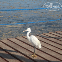 фото из отзыва ID 2735848