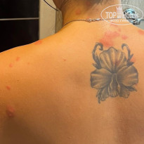 фото из отзыва ID 2735861