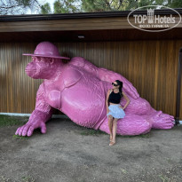 фото из отзыва ID 2735869