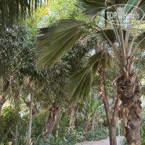 фото из отзыва ID 2735878