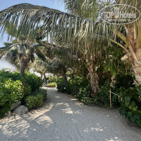 фото из отзыва ID 2735878