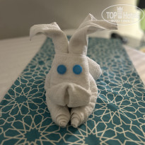 фото из отзыва ID 2735904