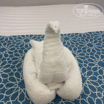 фото из отзыва ID 2735904