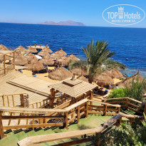 фото из отзыва ID 2735907