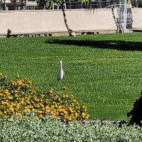 фото из отзыва ID 2735907