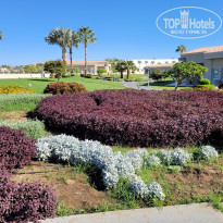 фото из отзыва ID 2735907