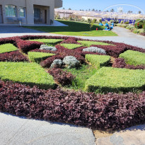 фото из отзыва ID 2735907