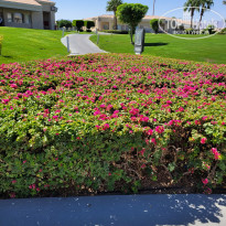 фото из отзыва ID 2735907