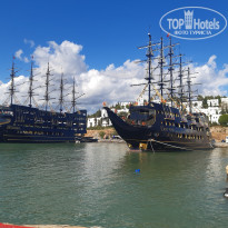 фото из отзыва ID 2735911