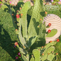 фото из отзыва ID 2735918