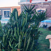 фото из отзыва ID 2735918