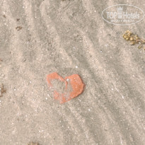 фото из отзыва ID 2735918