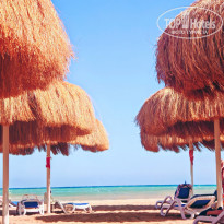 фото из отзыва ID 2735918