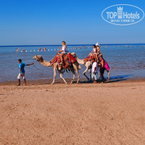 фото из отзыва ID 2735918