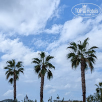 фото из отзыва ID 2735921