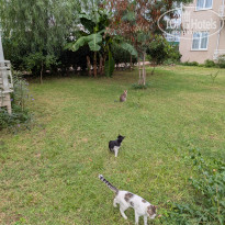 фото из отзыва ID 2735921