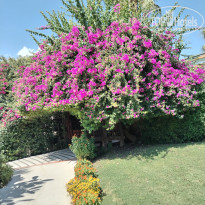 фото из отзыва ID 2735930