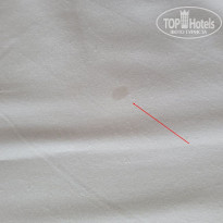 фото из отзыва ID 2735907