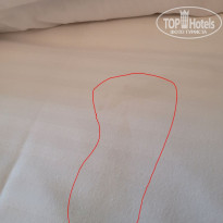 фото из отзыва ID 2735907