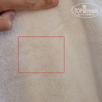 фото из отзыва ID 2735907