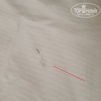 фото из отзыва ID 2735907