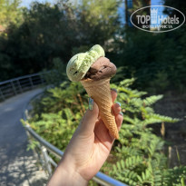 фото из отзыва ID 2735966