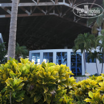 фото из отзыва ID 2735974