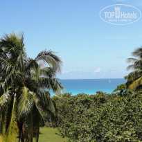 фото из отзыва ID 2735974