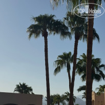 фото из отзыва ID 2735975