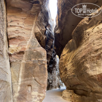 фото из отзыва ID 2735979