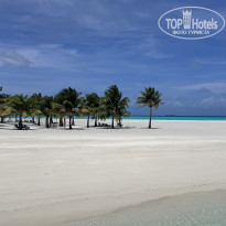 фото из отзыва ID 2736001