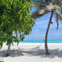 фото из отзыва ID 2736001