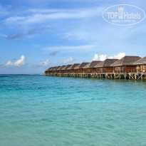 фото из отзыва ID 2736001