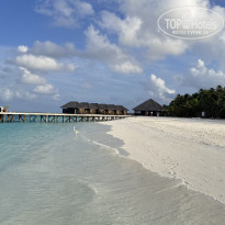 фото из отзыва ID 2736001