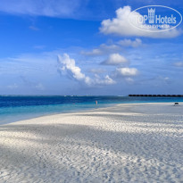 фото из отзыва ID 2736001