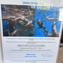 фото из отзыва ID 2736001