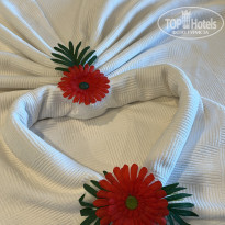 фото из отзыва ID 2736016