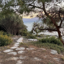 фото из отзыва ID 2736019