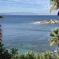 фото из отзыва ID 2736019