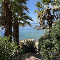 фото из отзыва ID 2736019