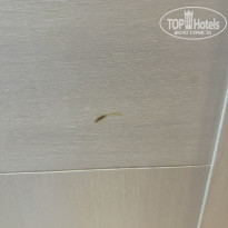 фото из отзыва ID 2736048