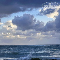 фото из отзыва ID 2736055