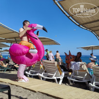 фото из отзыва ID 2736057