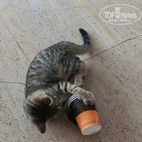 фото из отзыва ID 2736064