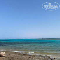 фото из отзыва ID 2736070